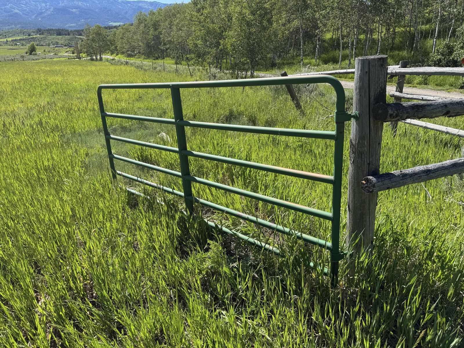 Cattle / Horse ranch gate 117" 10'