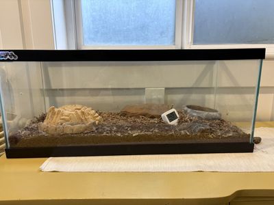 Reptile cage 20 gallon