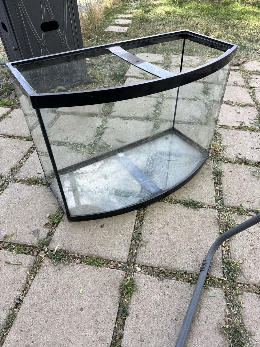 Aquarium Tank - 35 gallon bow front
