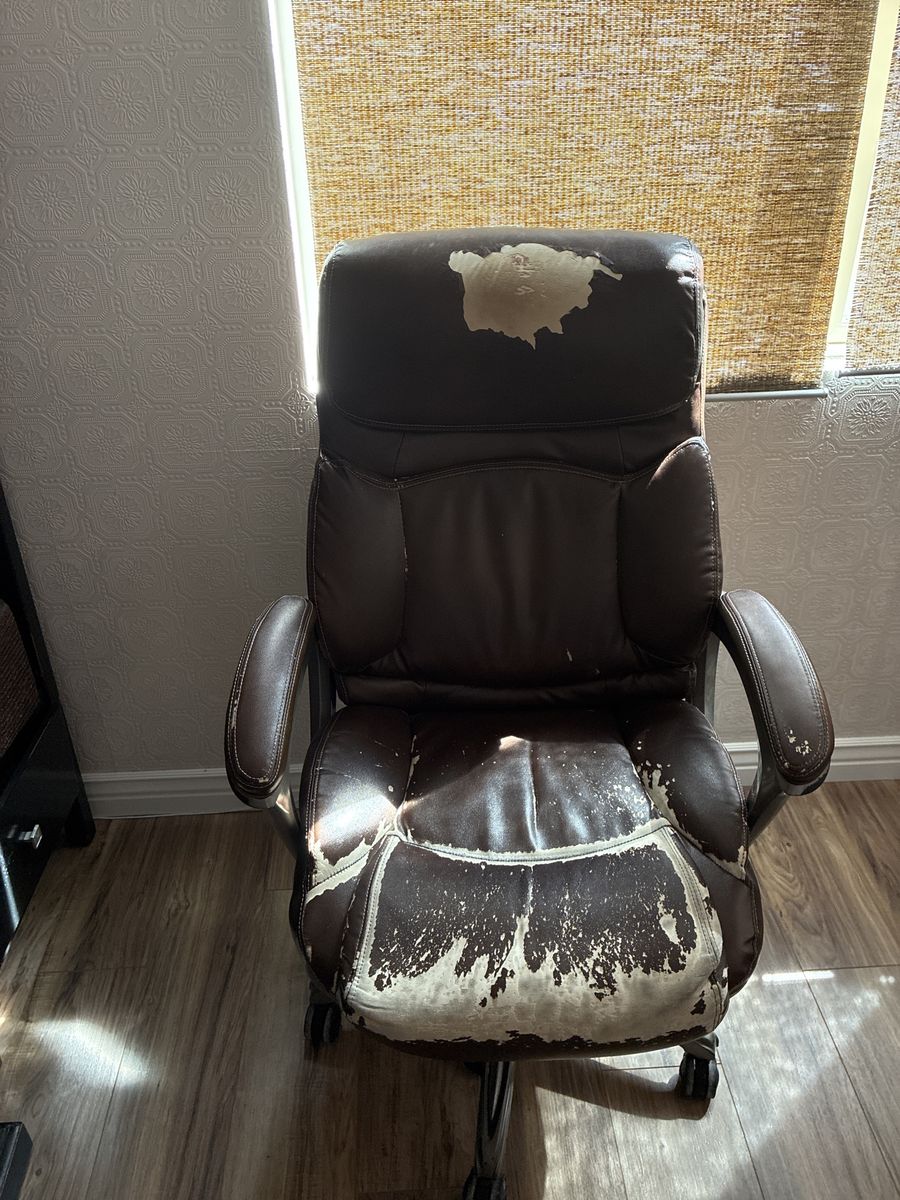 Lazboy computer chair