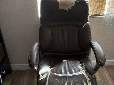 Lazboy computer chair