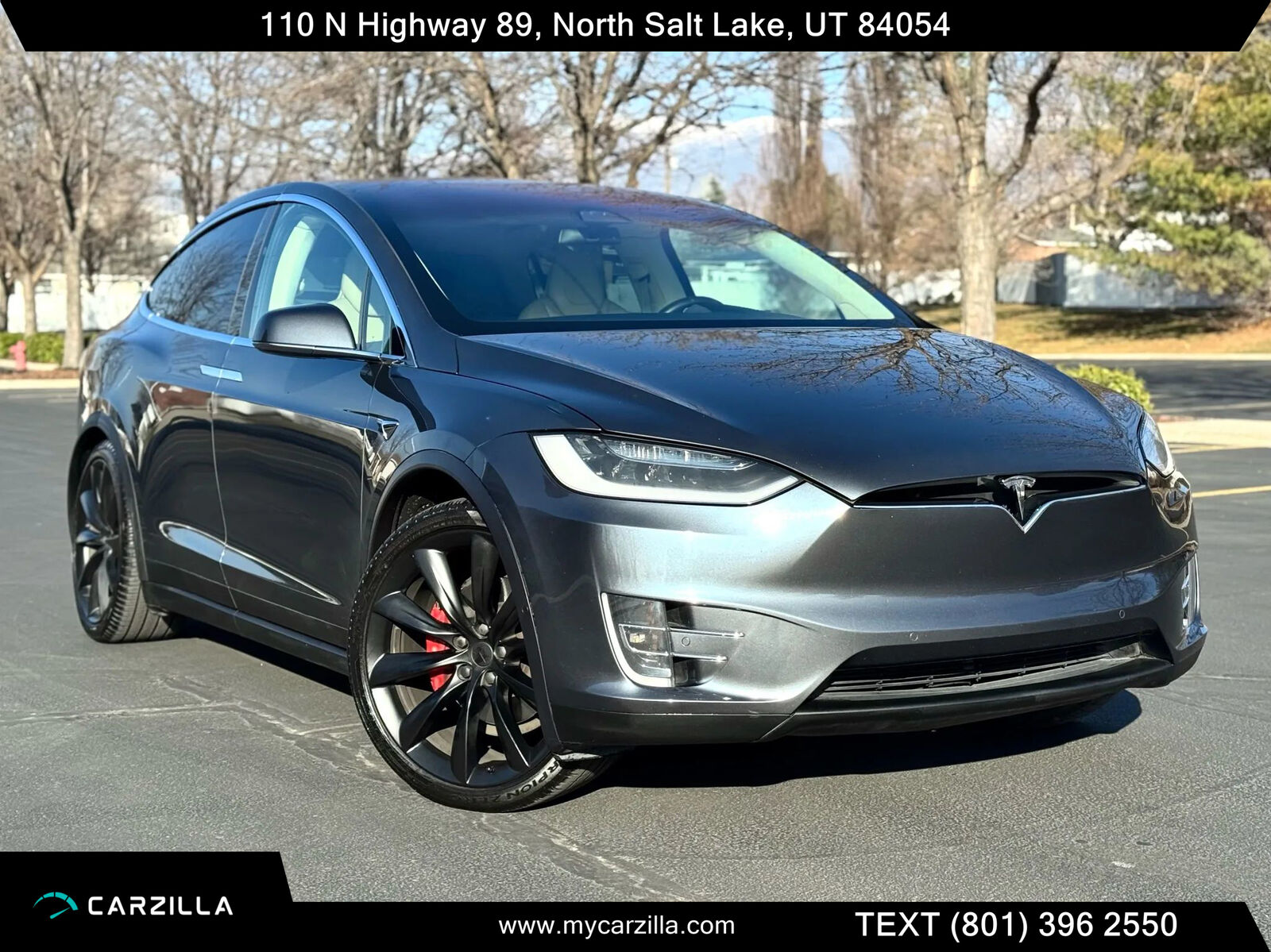 2017 Tesla Model X P100D