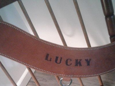 Leather Hand Tooled Horse Breast Collar