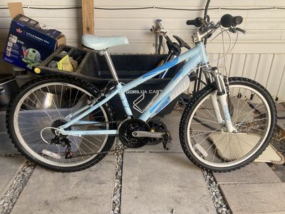 Novara 24inch kids mountain bike