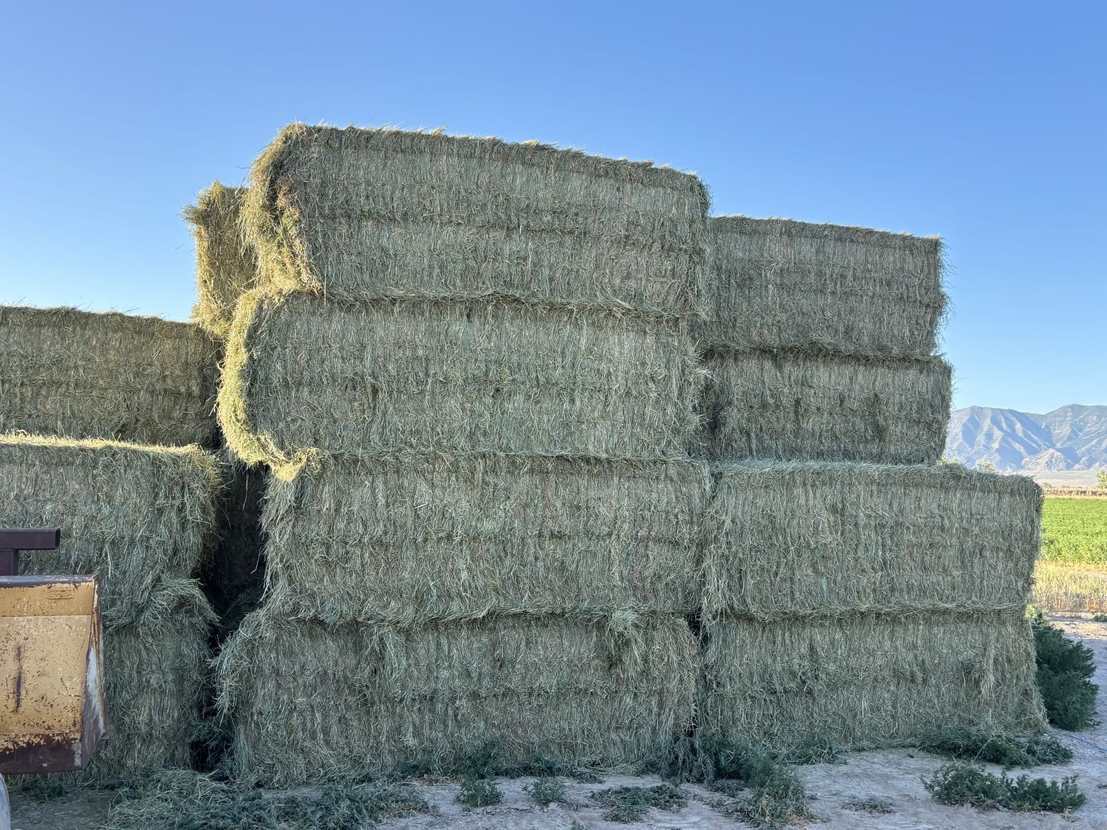 3x4 grass bales