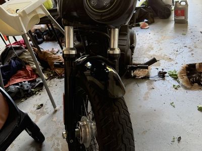 2010 Harley Davidson sportster