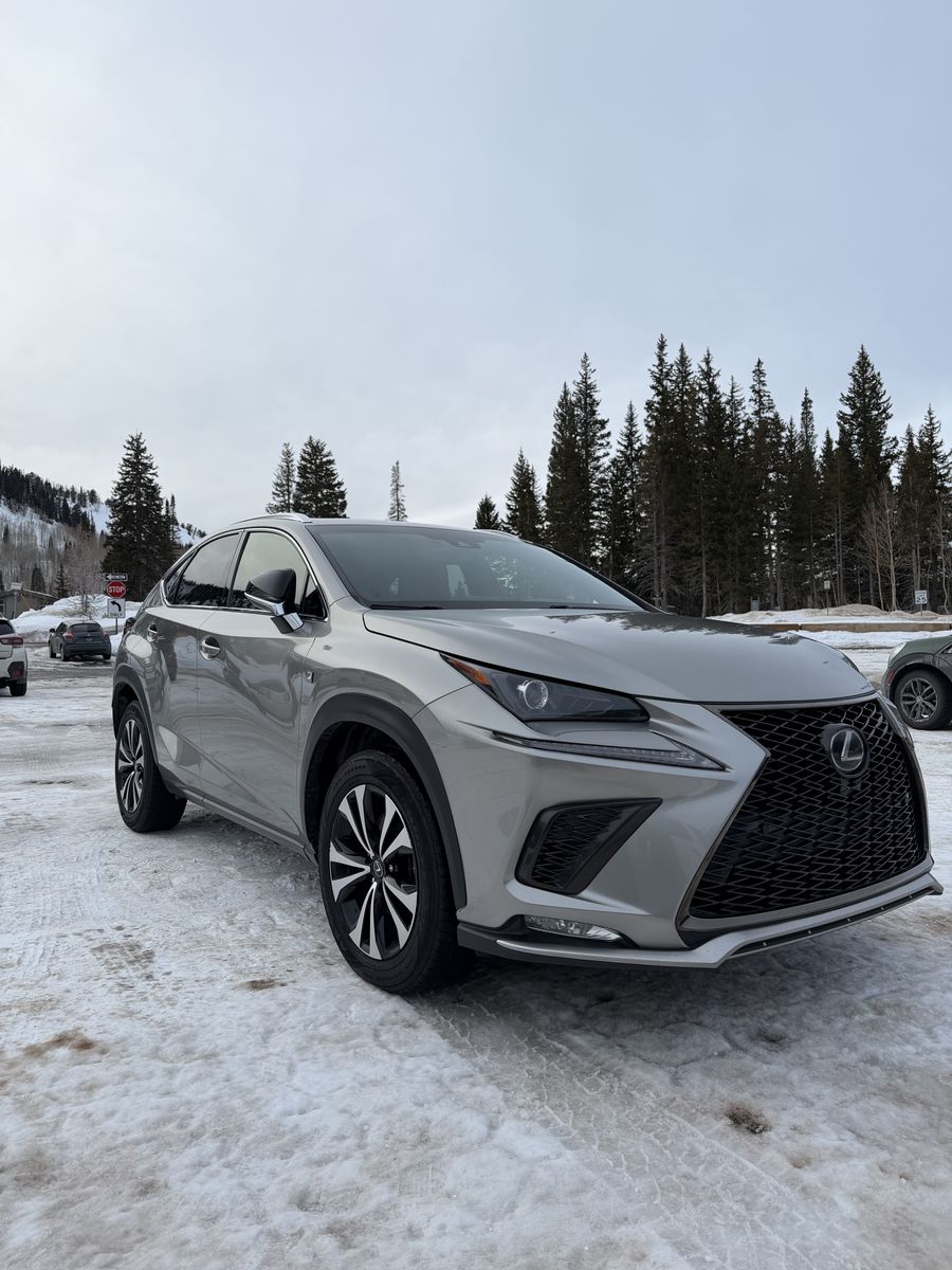 2018 Lexus NX 300 F SPORT