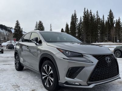 2018 Lexus NX 300 F SPORT
