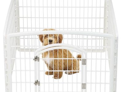 24"H 4-Panel White Playpen for Puppies & Small Dogs (Up to 30 lbs) - Easy Assembly