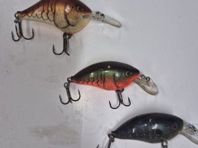 rapala fishing lures