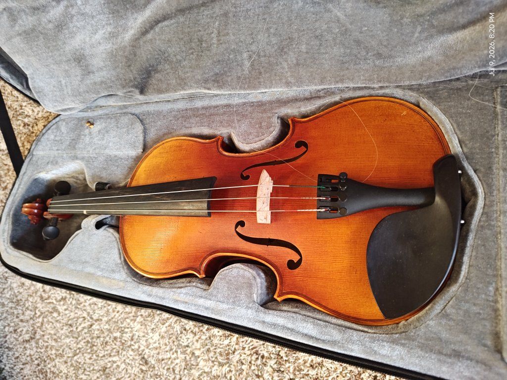 violin
