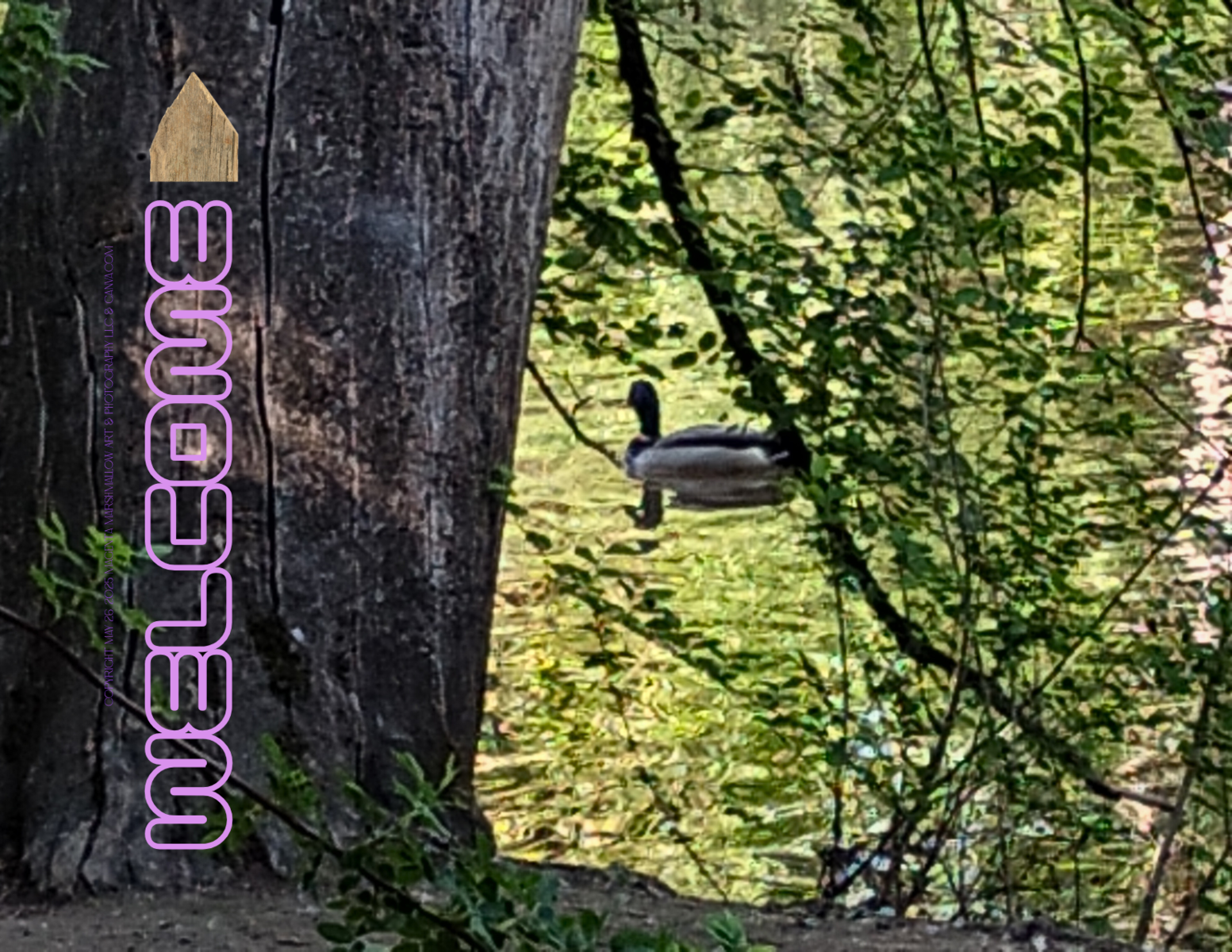 Duck pond - Rug / Doormat