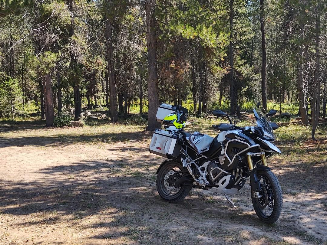 2023 Triumph 1200 Rally Explorer