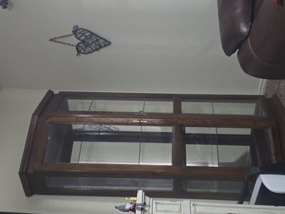 Lighted Oak Cureo Cabinet