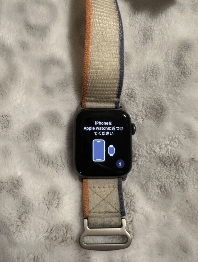 Apple SE Smart Watch, 1st Generation Factory Reset