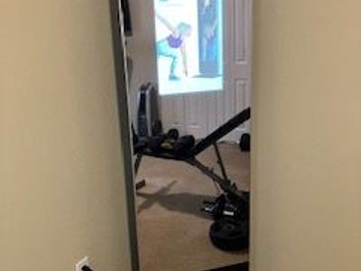 Pro-Form Fitness iFit Mirror