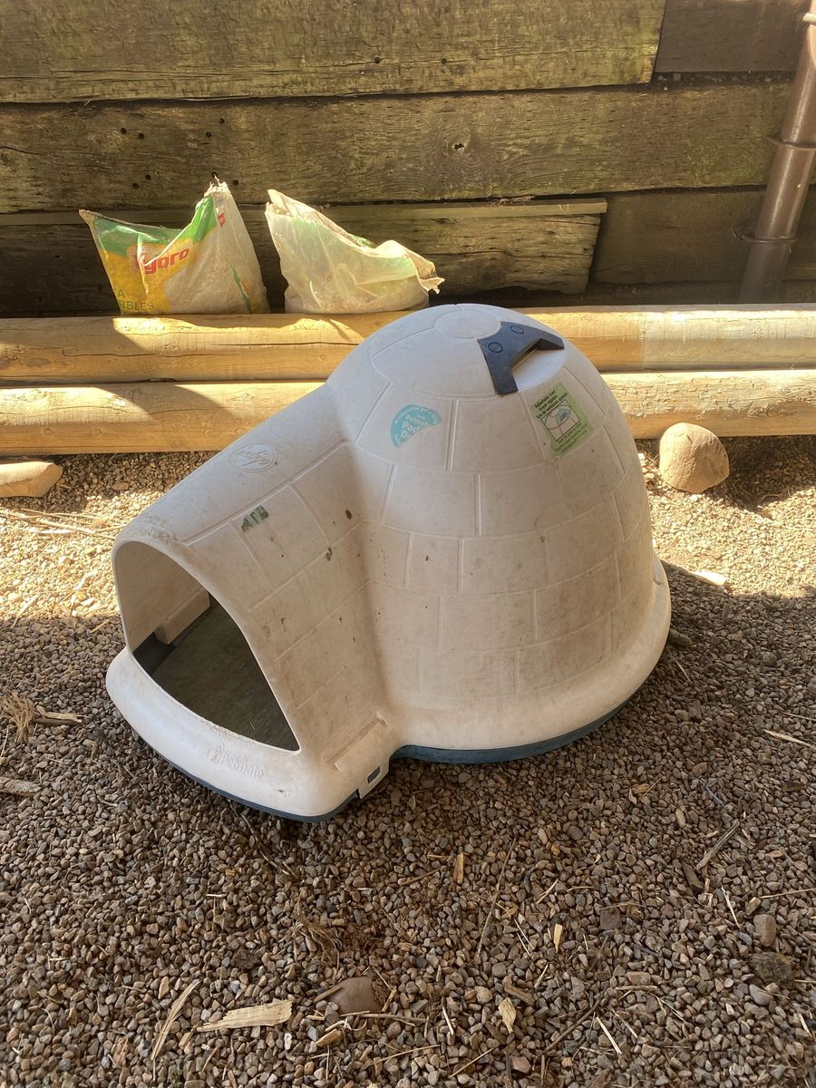 Igloo Dog House