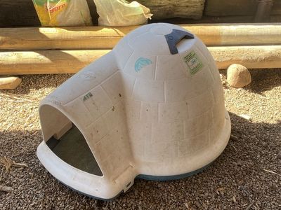 Igloo Dog House