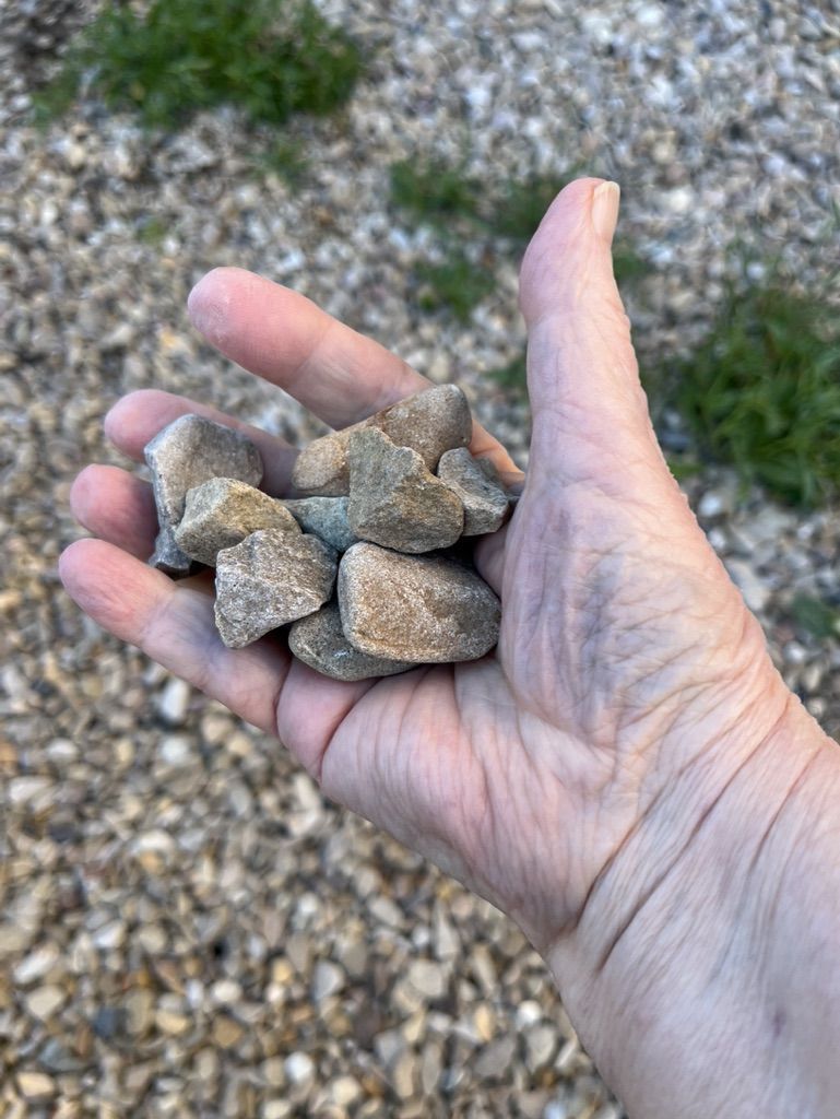 FREE ROCKS!