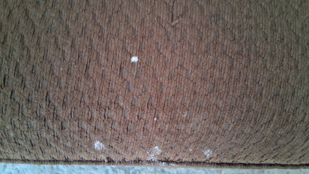 Main image 4