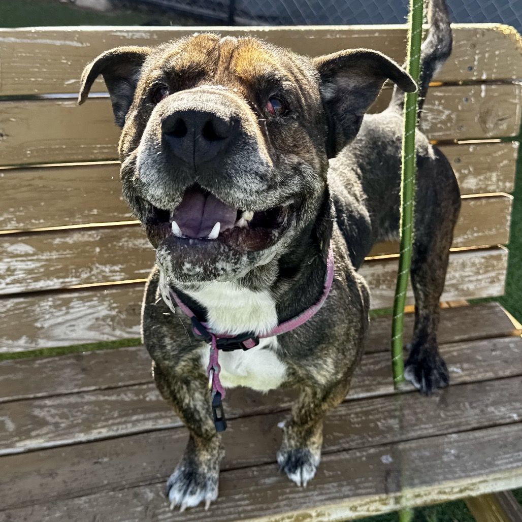 Hello my name is Ant