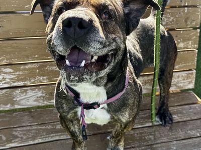 Hello my name is Ant