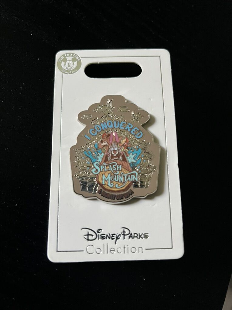 Disney Parks I Conquered Splash Mountain Rare Pin