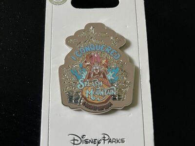 Disney Parks I Conquered Splash Mountain Rare Pin