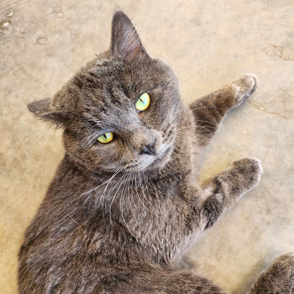 Hello my name is Roman