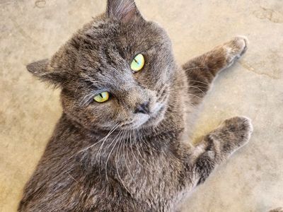 Hello my name is Roman