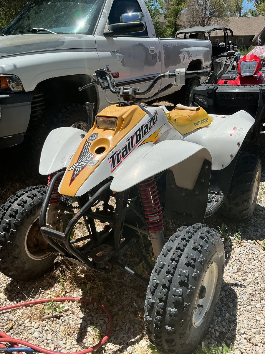 Trailblazer 250