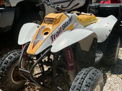Trailblazer 250