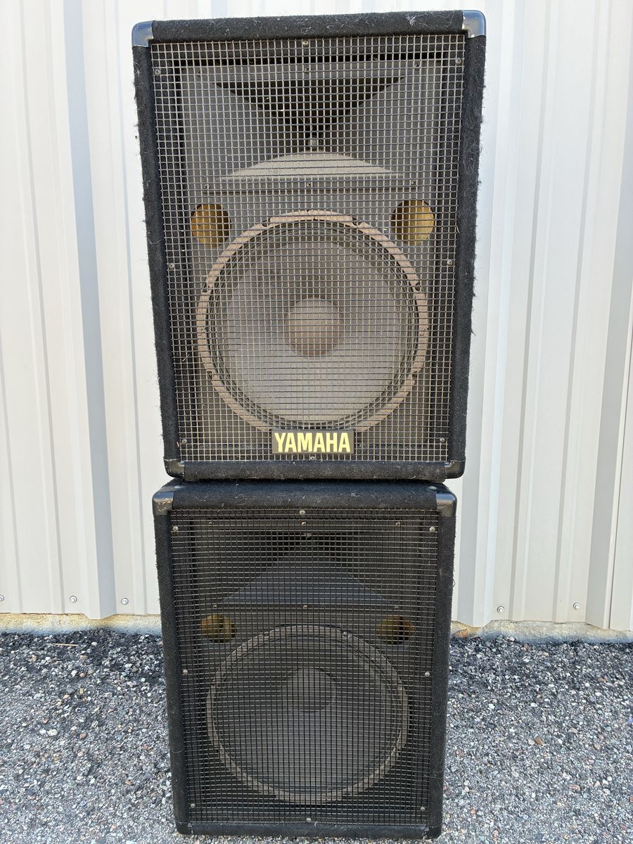 Yamaha Passive 12” speakers
