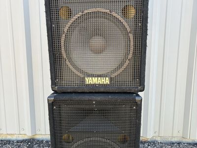 Yamaha Passive 12” speakers