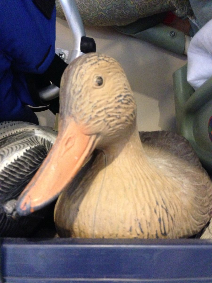 Ducks -12 Floating Decoys