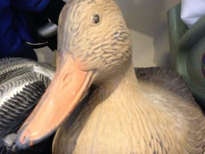 Ducks -12 Floating Decoys