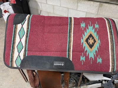 saddle pad, bell boots