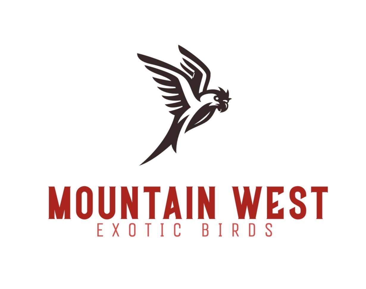 Exotic Bird Broker