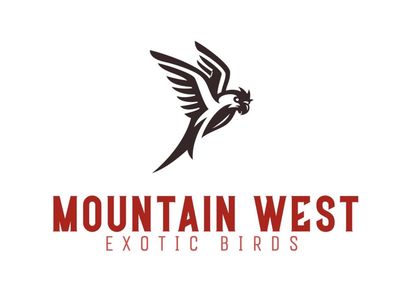 Exotic Bird Broker