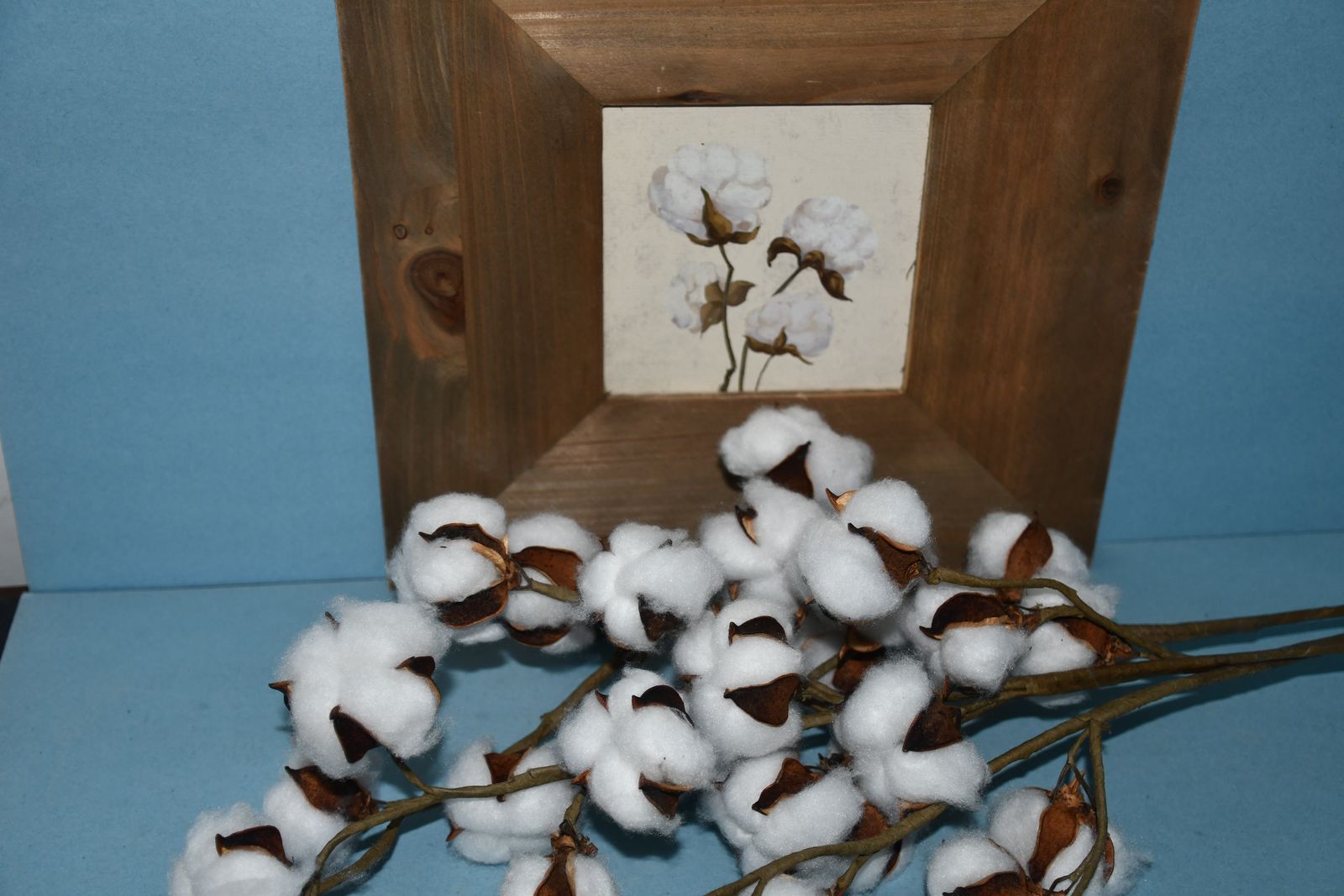COTTON PLANT PICTURE (12" x 12") + 3 COTTON BALL BRANCHES ~ HOBBY LOBBY ~ ALL FOR $5