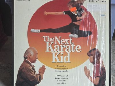 The next karate kid LASERDISC