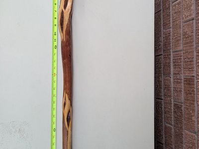 walking stick cane