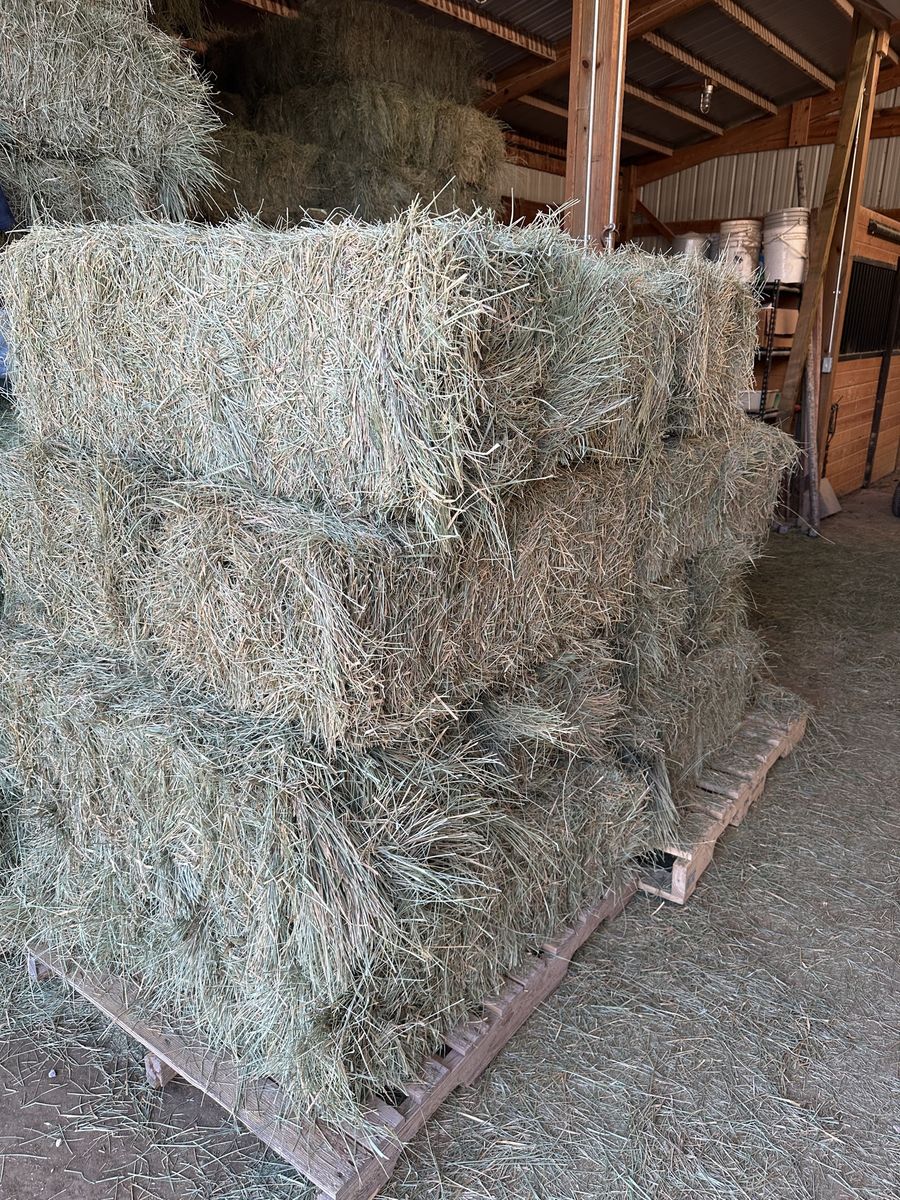 Premium Fescue Hay
