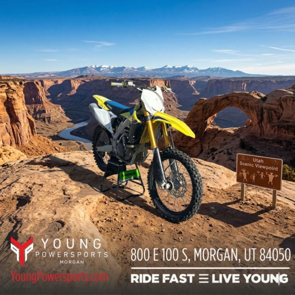 2019 Suzuki RM-Z450