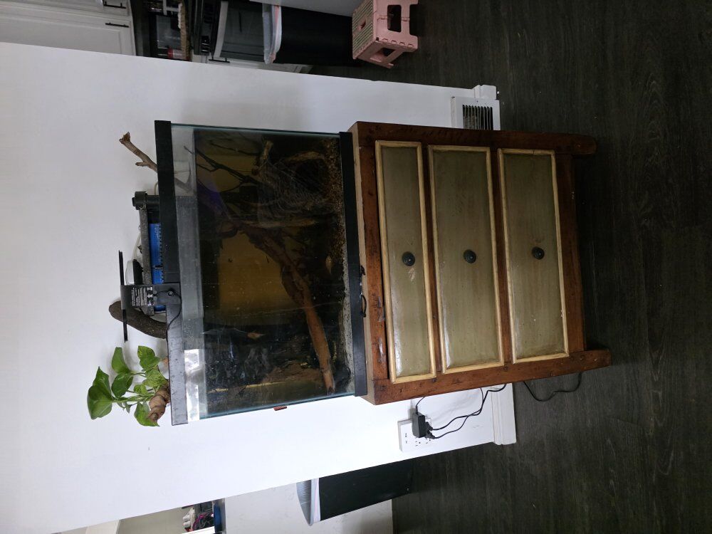 Moving out of state need to sell ASAP