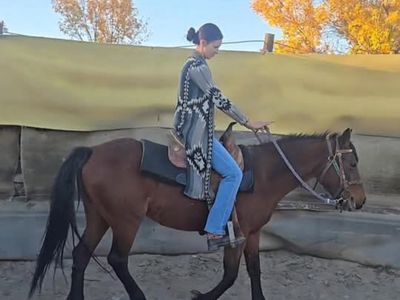 Titled Mustang