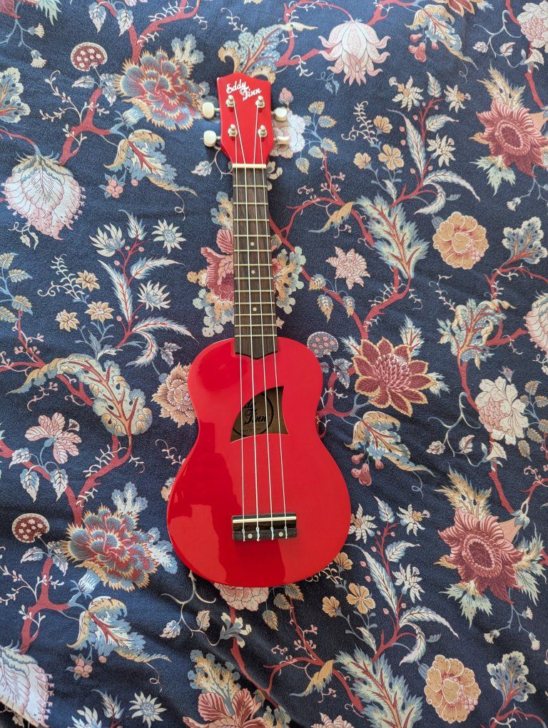 Ukelele and carry bag