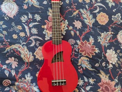 Ukelele and carry bag