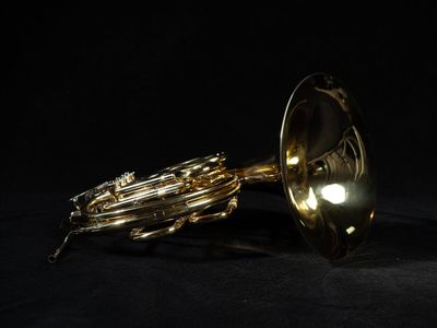 French Horn - Yamaha YHR-567 double horn ($1650)