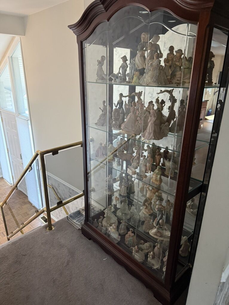 Gorgeous Display Case RC willey